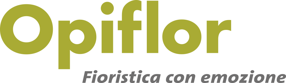 Passa alla homepage