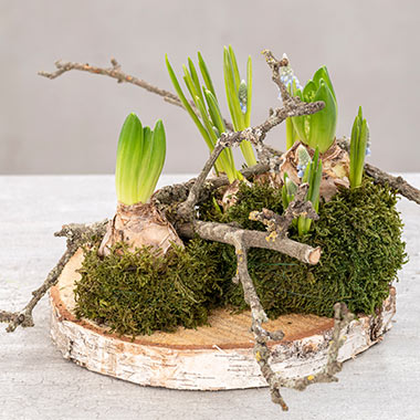 Pesce – Bastoncino Orchidea con figura – Fiore Fiore Stab traliccio stuetze giardino decorazione floreale – U di 4 Pesce – Bastoncino Orchidea con figura – Fiore Fiore Stab traliccio stuetze giardino decorazione floreale – U di 4
